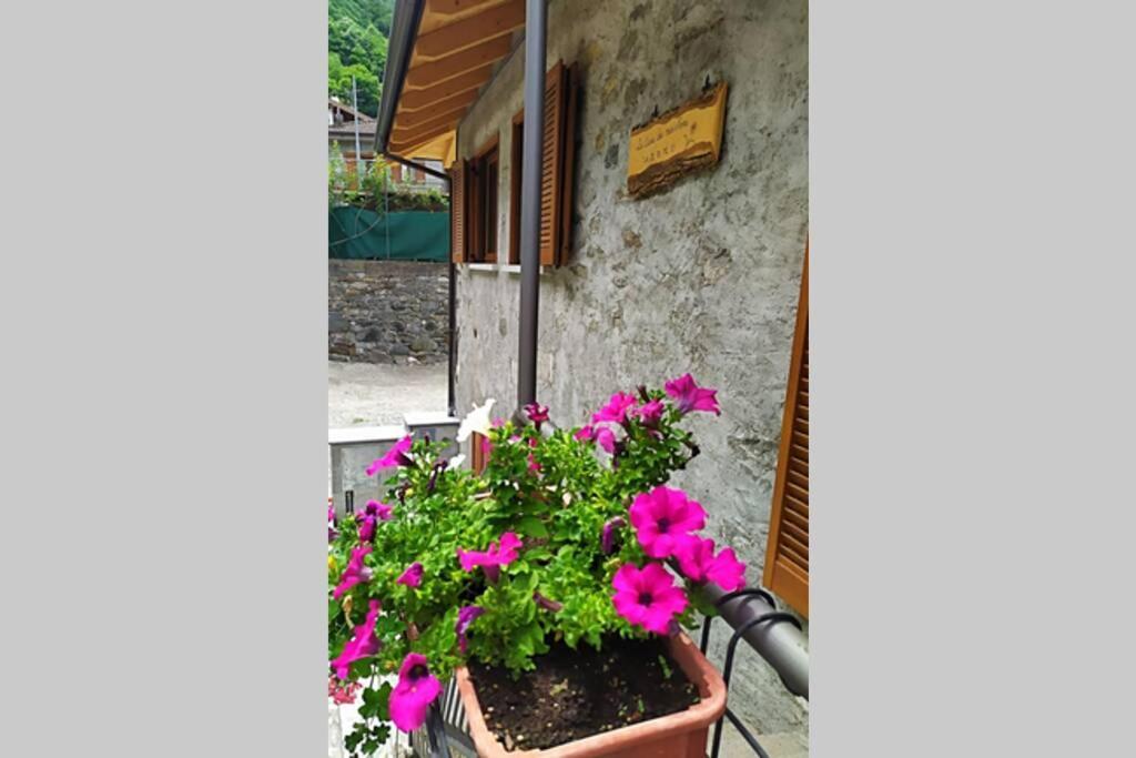 La Casa Dei Miei Nonni Tra Montagne E Lago Vila Verceia Exterior foto